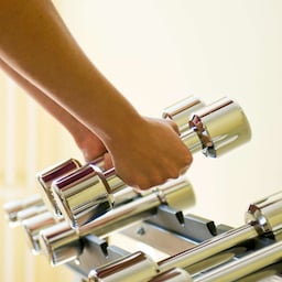 Fitness, Wellness & Spa - Gym - hands lifting free weights of stand