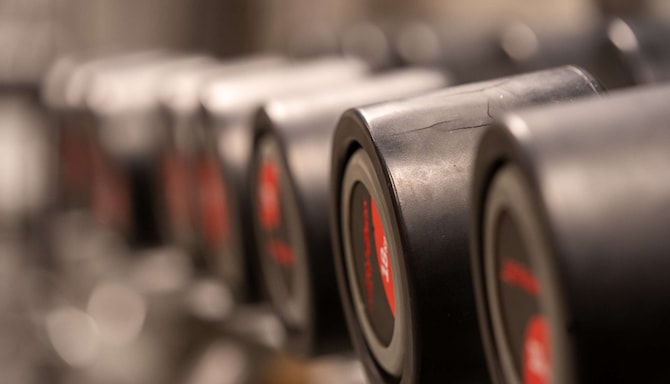 Fitness, Wellness & Spa - Gym - free weights