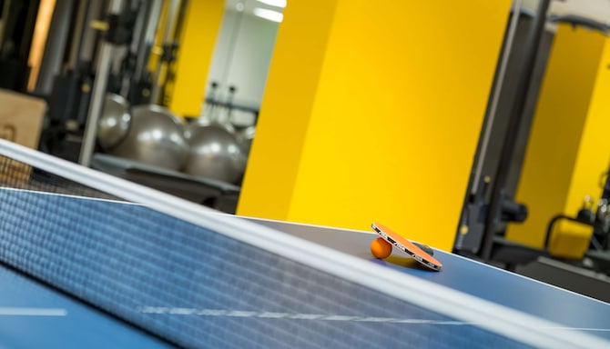 Fitness, Wellness and Spa - Gym - table tennis