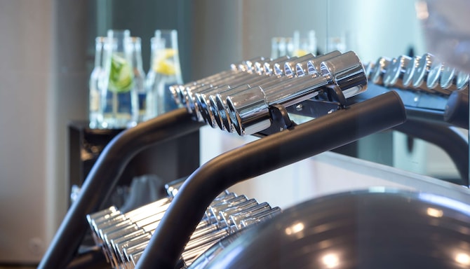 Fitness, Wellness and Spa - Gym - free weights