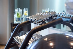 Fitness, Wellness and Spa - Gym - free weights