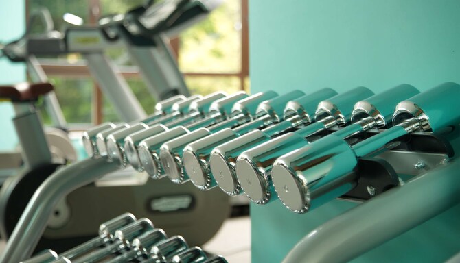 Fitness, Wellness & Spa - Gym - free weights