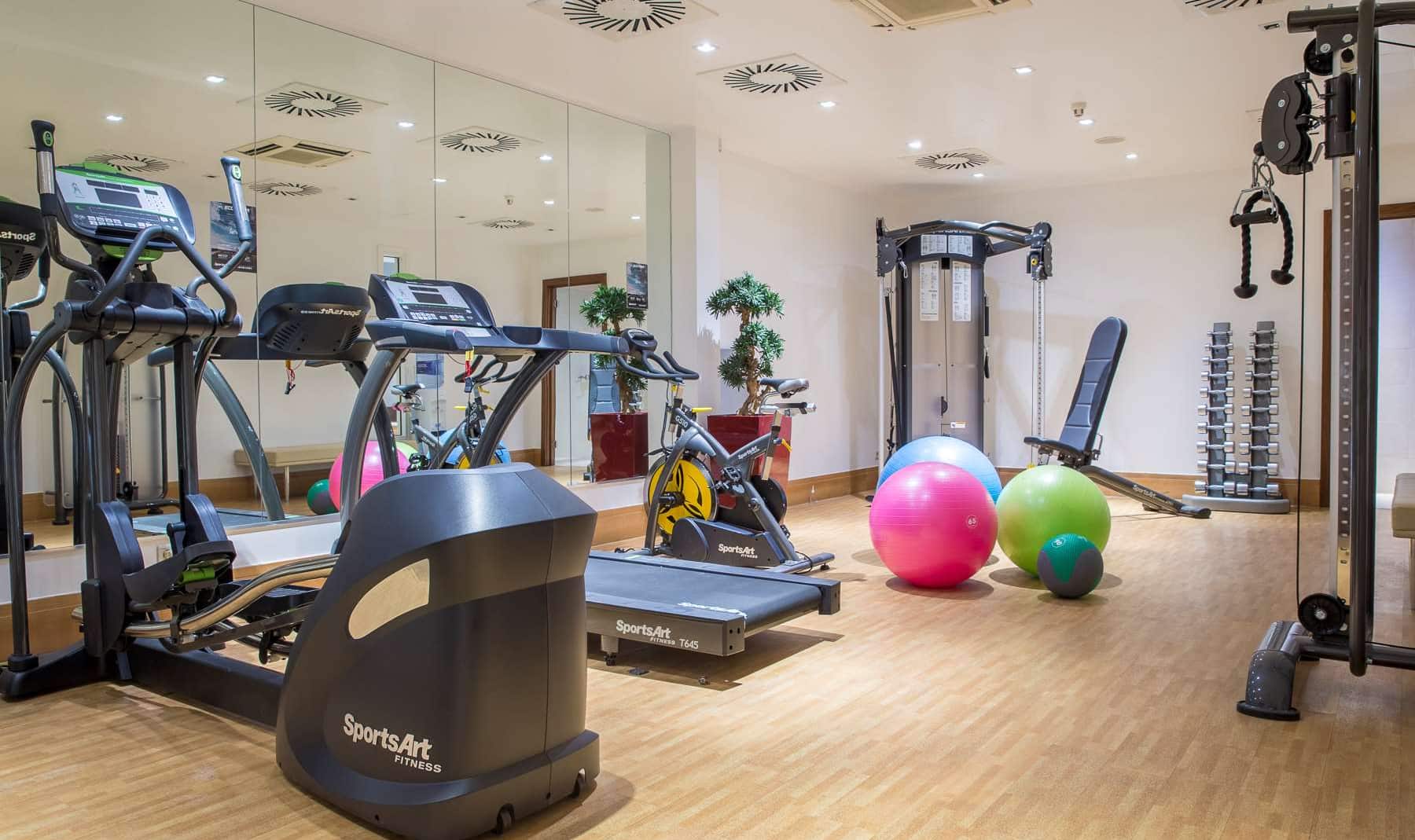 Fitness, Wellness & Spa - Gym