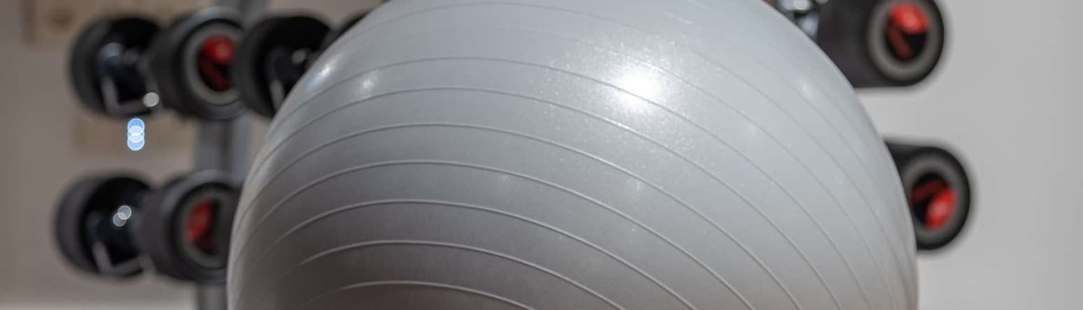 Fitness, Wellness & Spa - Gym equipment