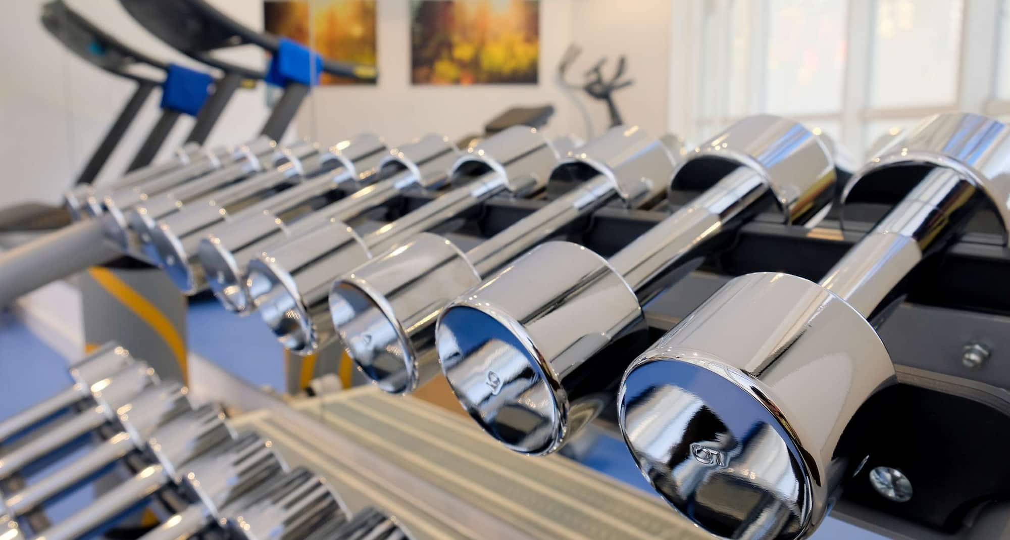 Fitness, Wellness & Spa - Gym - free weights