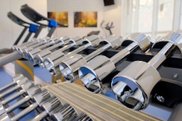 Fitness, Wellness & Spa - Gym - free weights