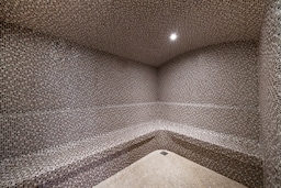 Fitness, Wellness and Spa - Steam room