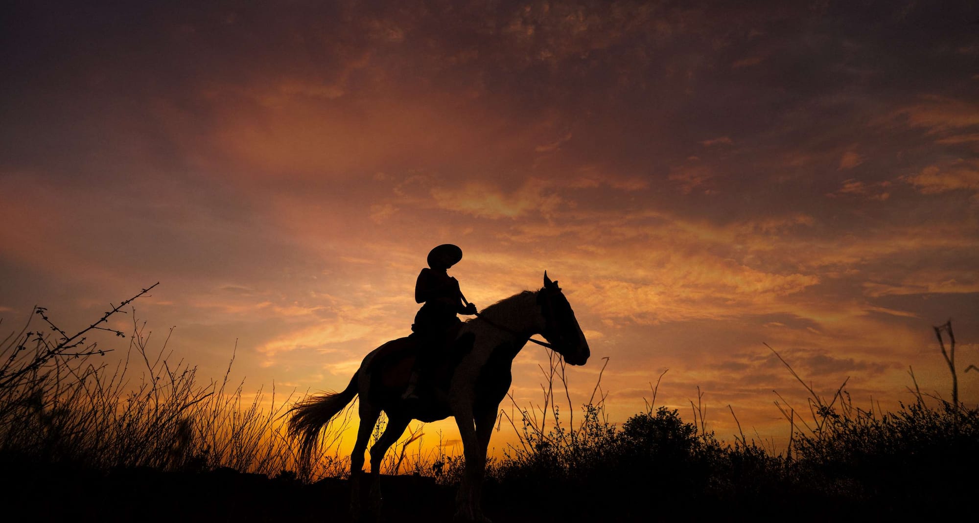 Gaj Resort, a member of Radisson Individuals Retreats - Horse Riding