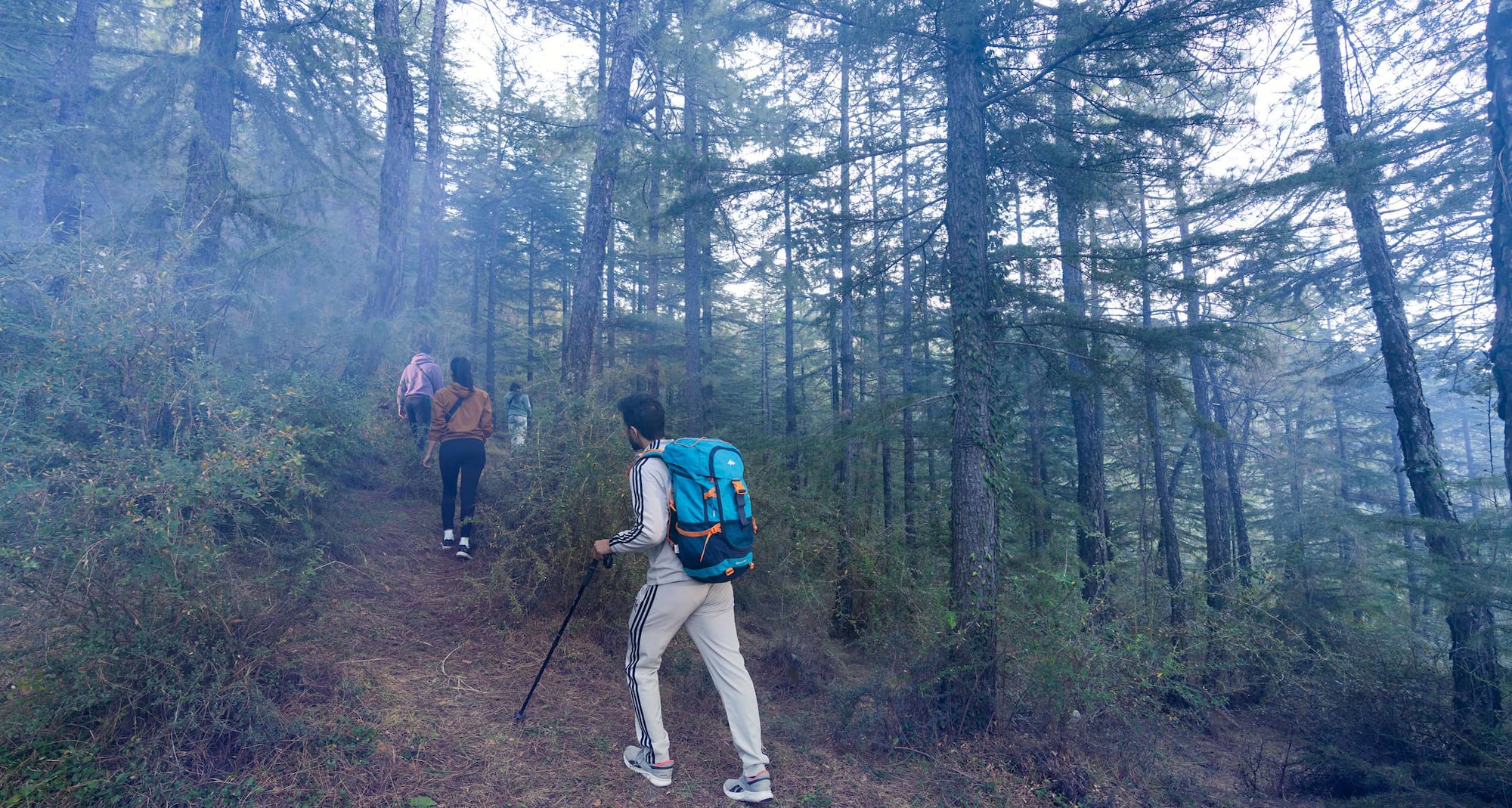 Koti Resort Shimla, a member of Radisson Individuals Retreats - Jungle Trek