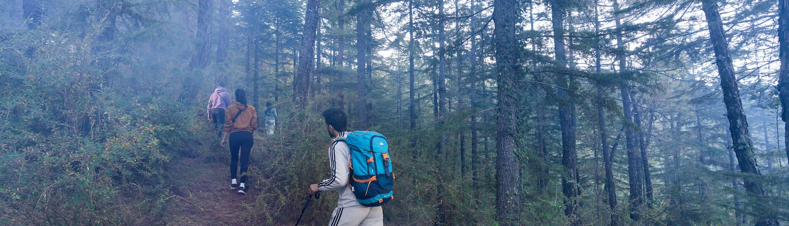 Koti Resort Shimla, a member of Radisson Individuals Retreats - Jungle Trek