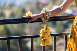 Koti Resort Shimla, a member of Radisson Individuals Retreats - Wedding