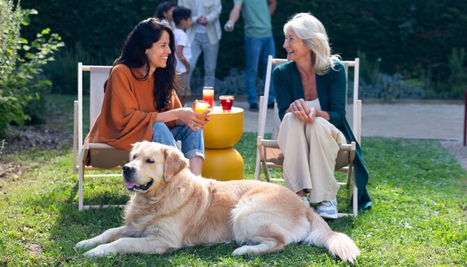 Louvre Hotels - Inspirational landing pages - ANIMAUX x