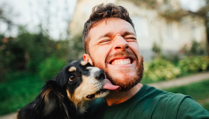 Louvre Hotels - Inspirational landing pages - ANIMAUX x