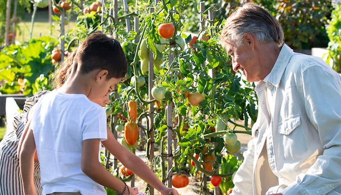 Louvre Hotels - Inspirational landing pages - FAMILLE x