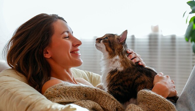 Louvre Hotels - Inspirational landing pages - ANIMAUX