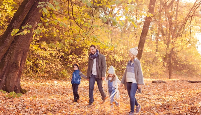 Marketing Campaigns EMEA (DO NOT UPLOAD NEW CONTENT) - Family experience