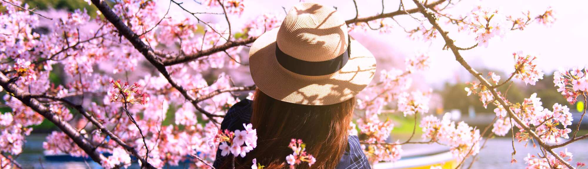 Marketing Campaigns EMEA - Spring Sale