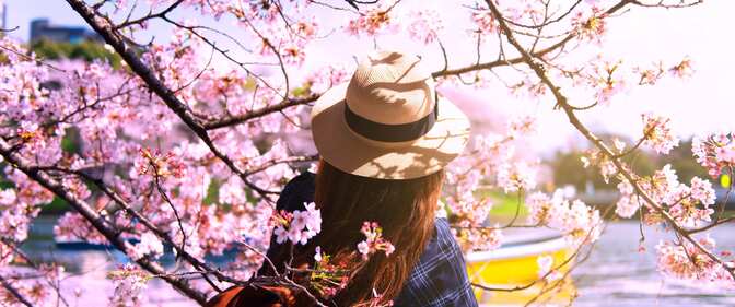 Marketing Campaigns EMEA - Spring Sale