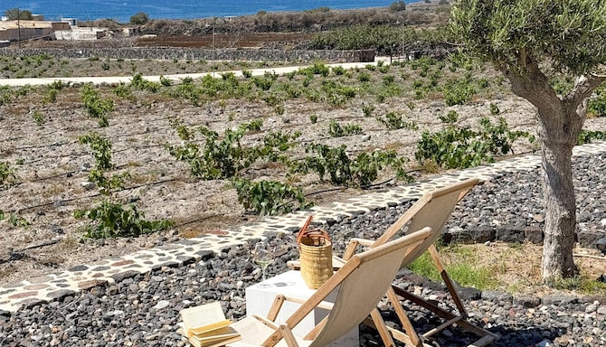 Marketing Campaigns MED - Wine tasting - Local Activities Santorini