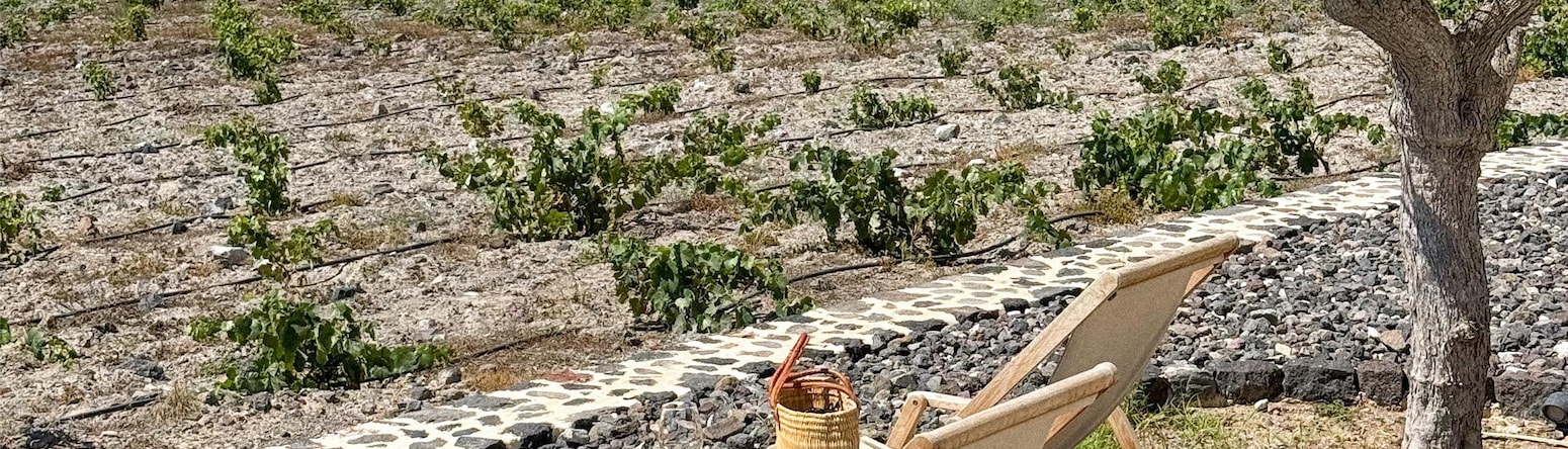 Marketing Campaigns MED - Wine tasting - Local Activities Santorini