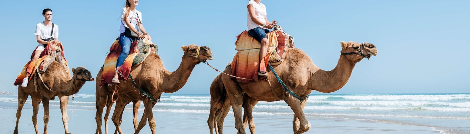 Marketing Campaigns MEA - MEA  Dream Deals - Mirrored