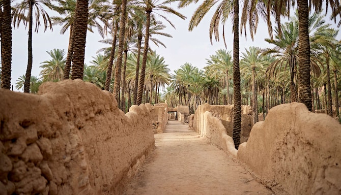 بريدة
