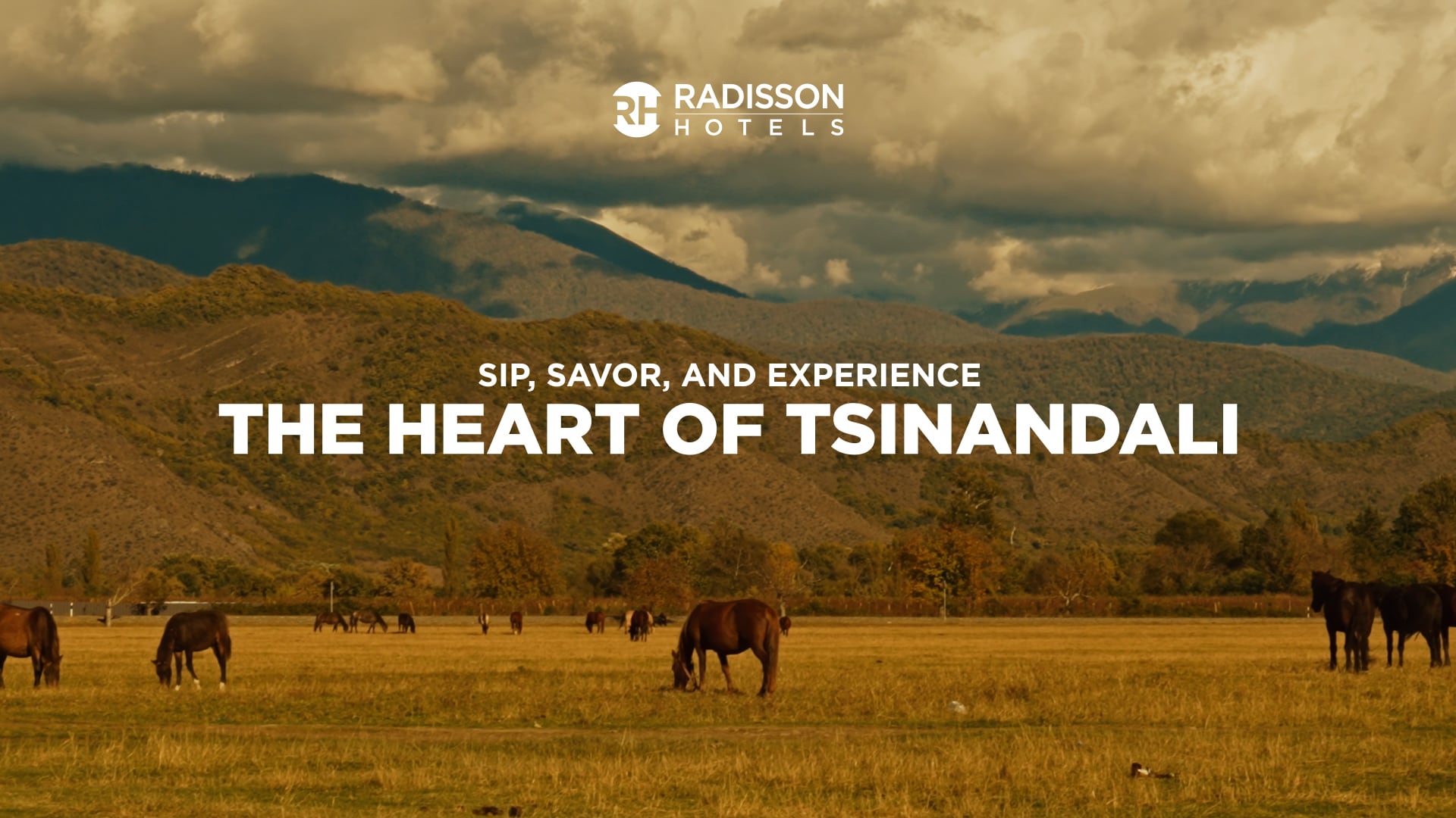 Marketing Campaigns META - DXBZF RC Tsinandali video RH branded