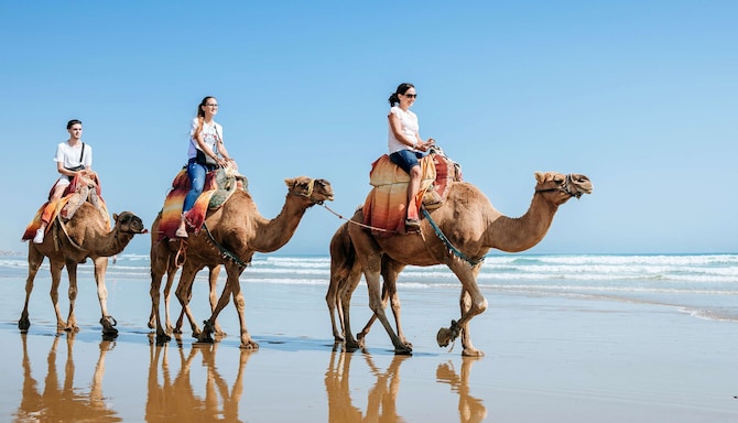 Marketing Campaigns MEA - MEA  Dream Deals - Mirrored