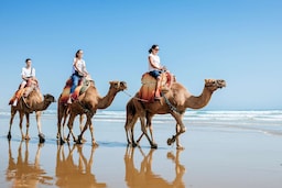 حملات التسويق في أوروبا، والشرق الأوسط، وإفريقيا - عروض الحلم لدول الشرق الأوسط وإفريقيا - مطابقة‬