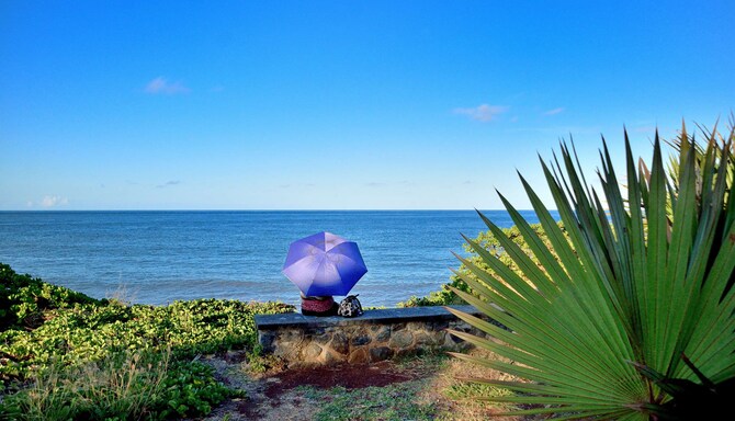 Pazarlama Kampanyaları MEA - Reunion adası, Saint-Denis de la Reunion