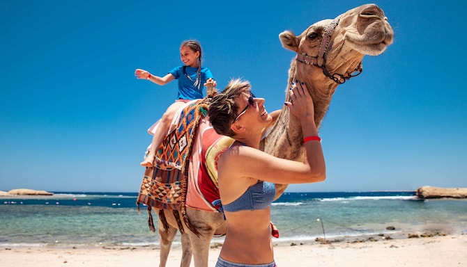 Marketing Campaigns MEA - Summer Family Campaigns