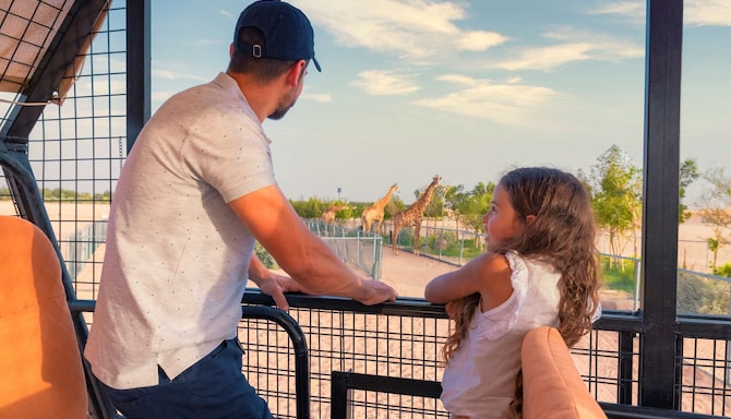 Campagnes marketing MEA - Riyad, Arabie saoudite