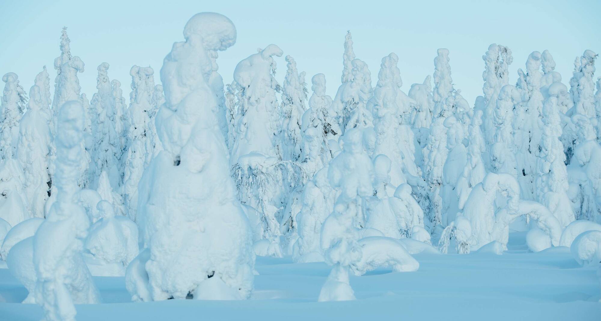 Winter landscape Syöte, Oulu. Finland