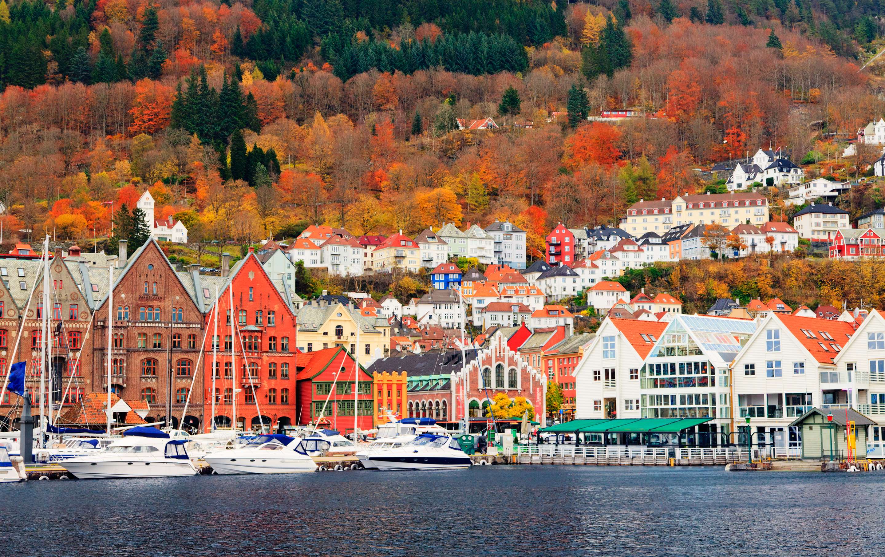 Marketing Campaigns NOBA - Norway HERO