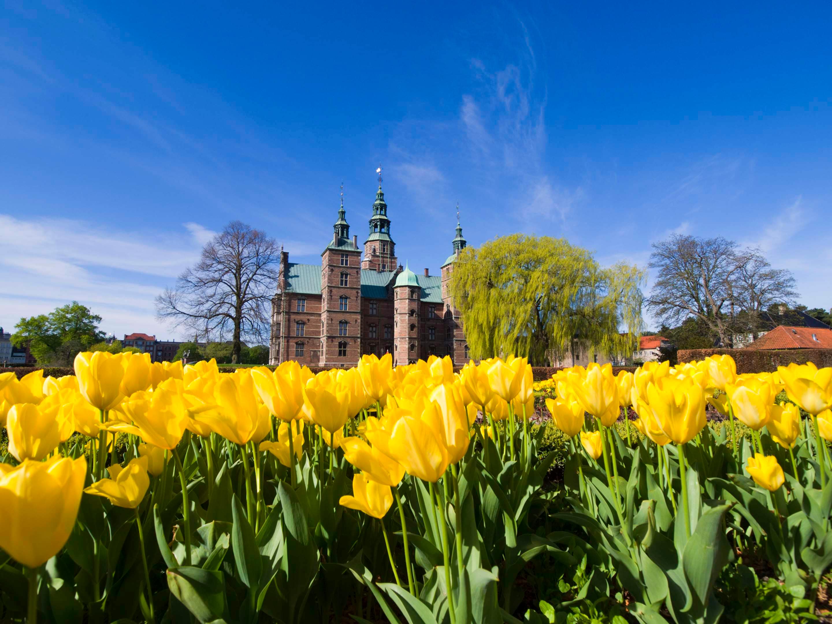 Marketing Campaigns NOBA - Spring in Copenhagen, Denmark