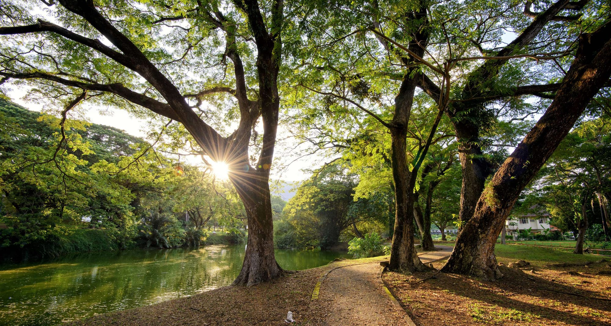 Meetings and Events - Hotel generic - MandE - Generic - Parks - Park path alongside river