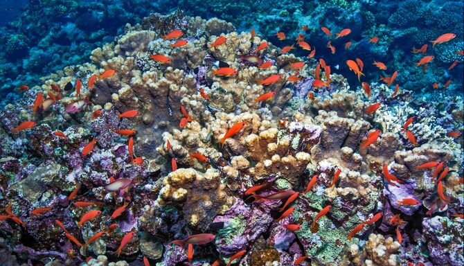 Meetings and Events - META+MED destinations - El Quseir, Egypt 3