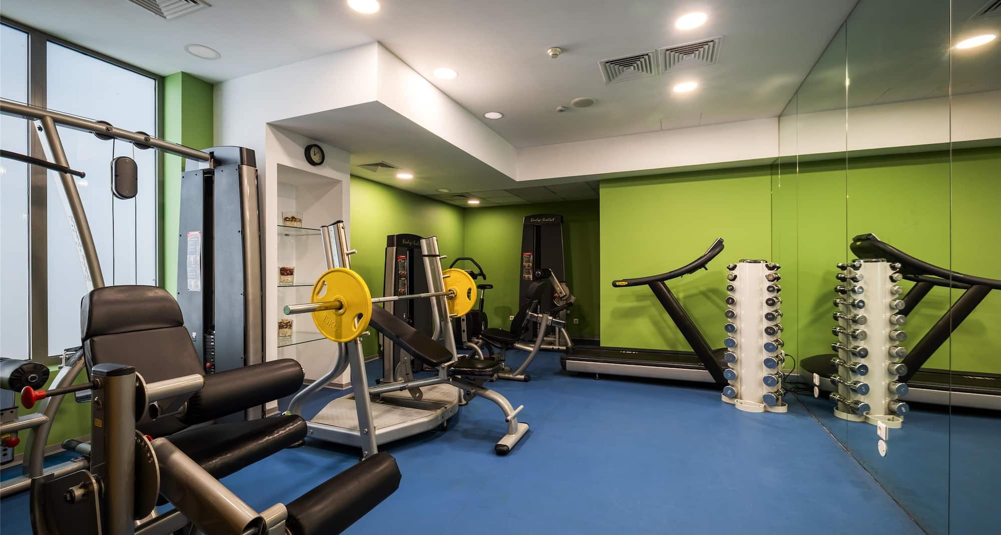 Metropolitan Hotel Sofia, a member of Radisson Individuals - Gym