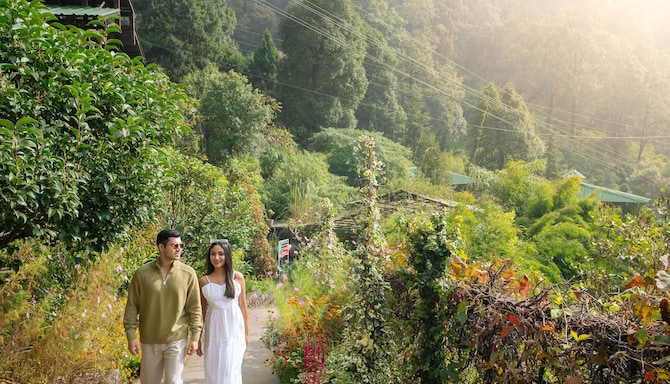 Walk through the lush greenery at Nainital Botanical Garden