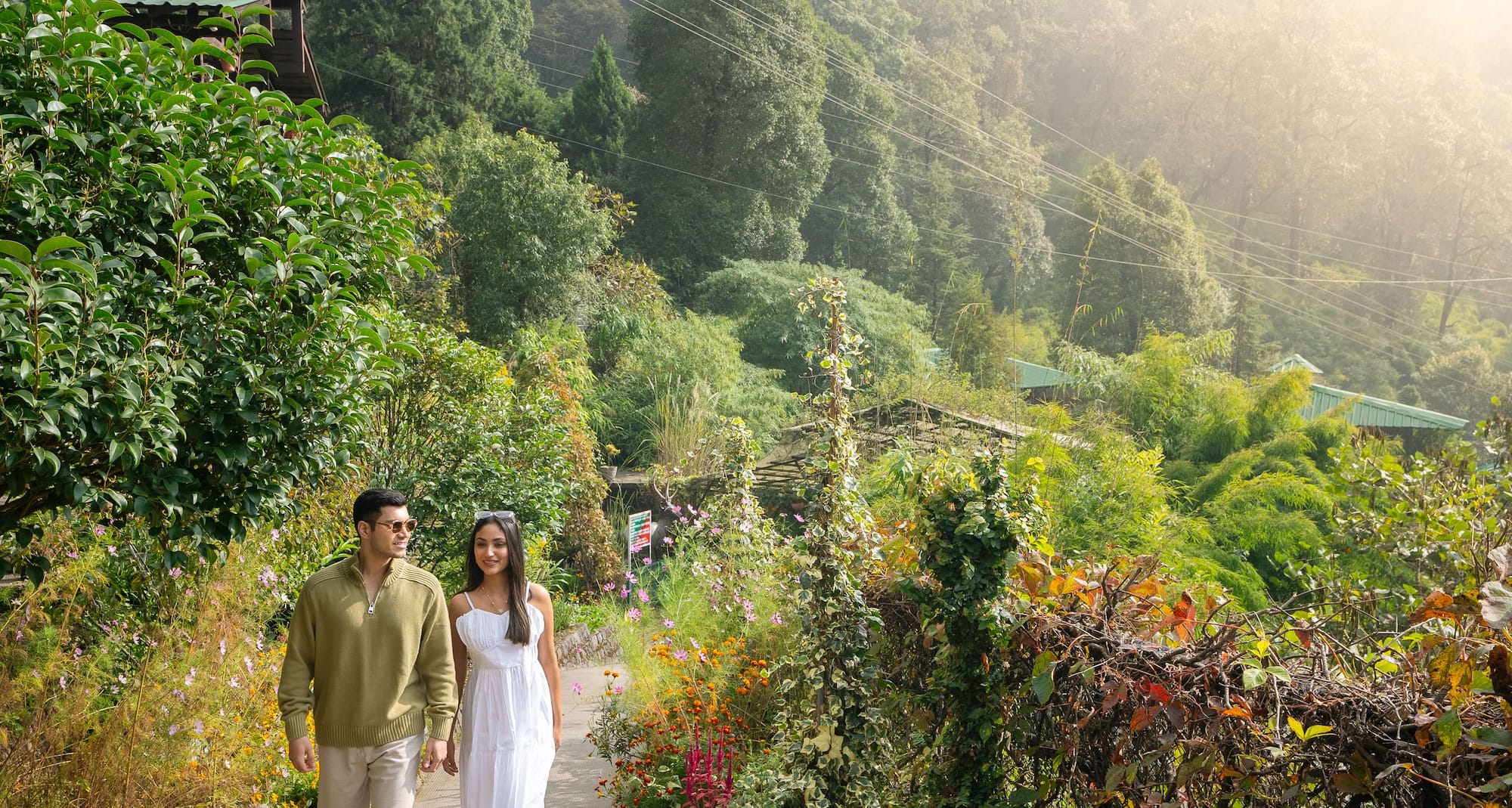 Walk through the lush greenery at Nainital Botanical Garden