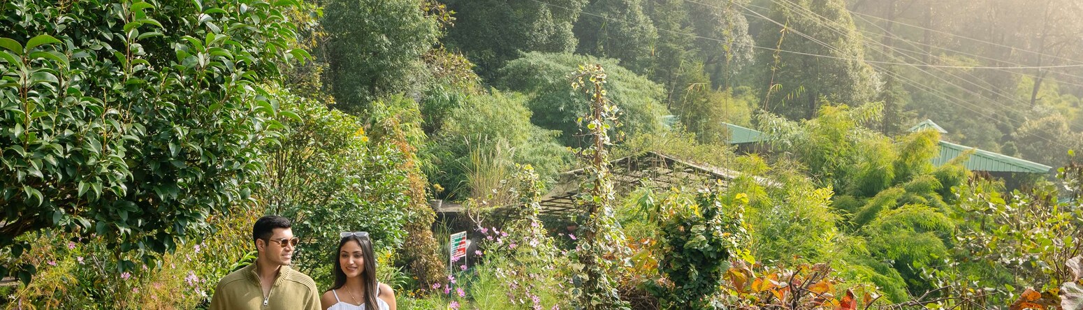Walk through the lush greenery at Nainital Botanical Garden