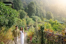 Walk through the lush greenery at Nainital Botanical Garden