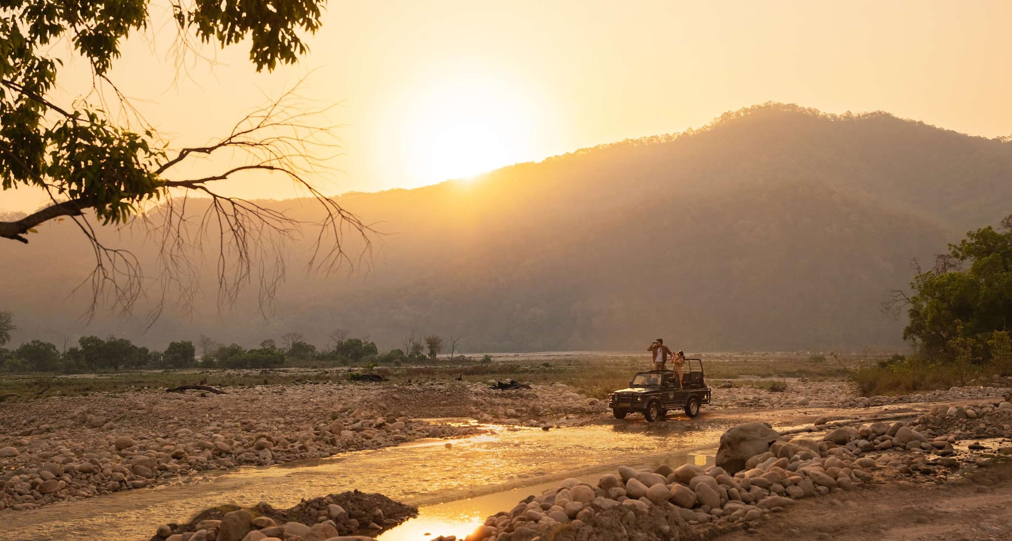 Feel the adrenaline on a safari adventure at Jim Corbett National Park