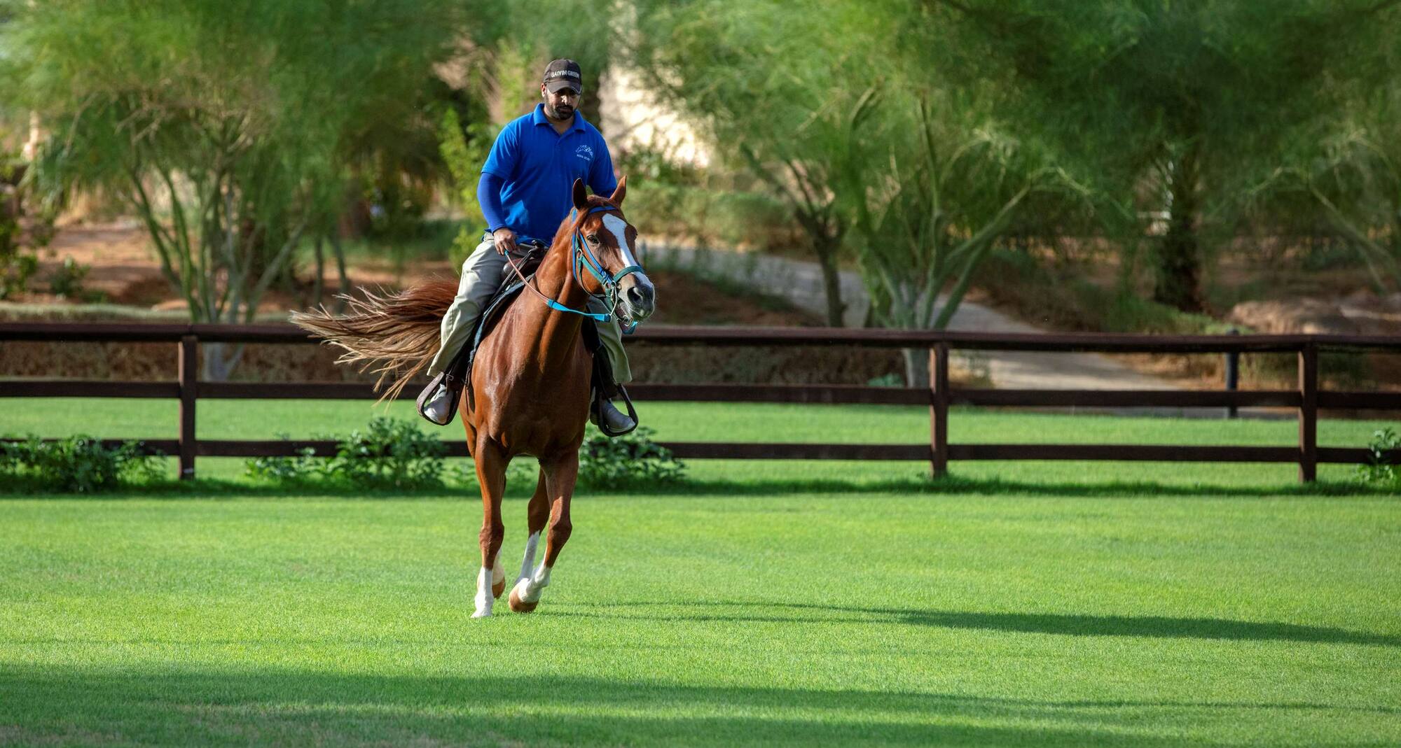 Nofa Riyadh, A Radisson Collection Resort - Local landscape