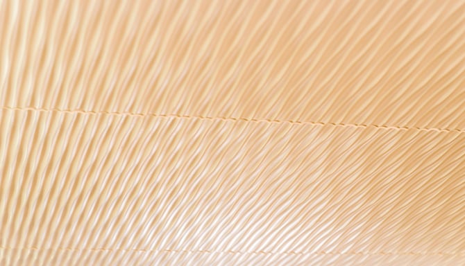 Noom Hotel Dakar Sea Plaza, a member of Radisson Individuals - Royal Suite Details