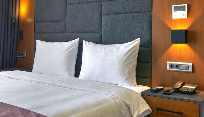 Nova Vista Deluxe &amp; Suites Eskisehir, a member of Radisson Individuals - Standard Room