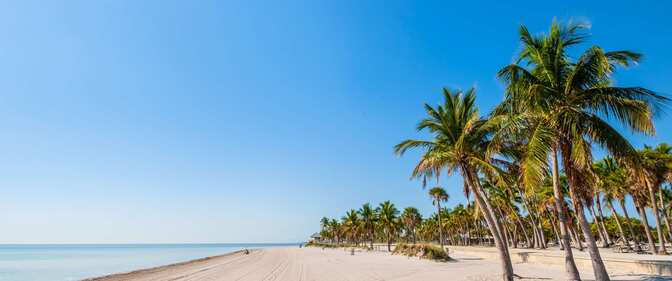 Palm trees line a sandy beach with blue skies above