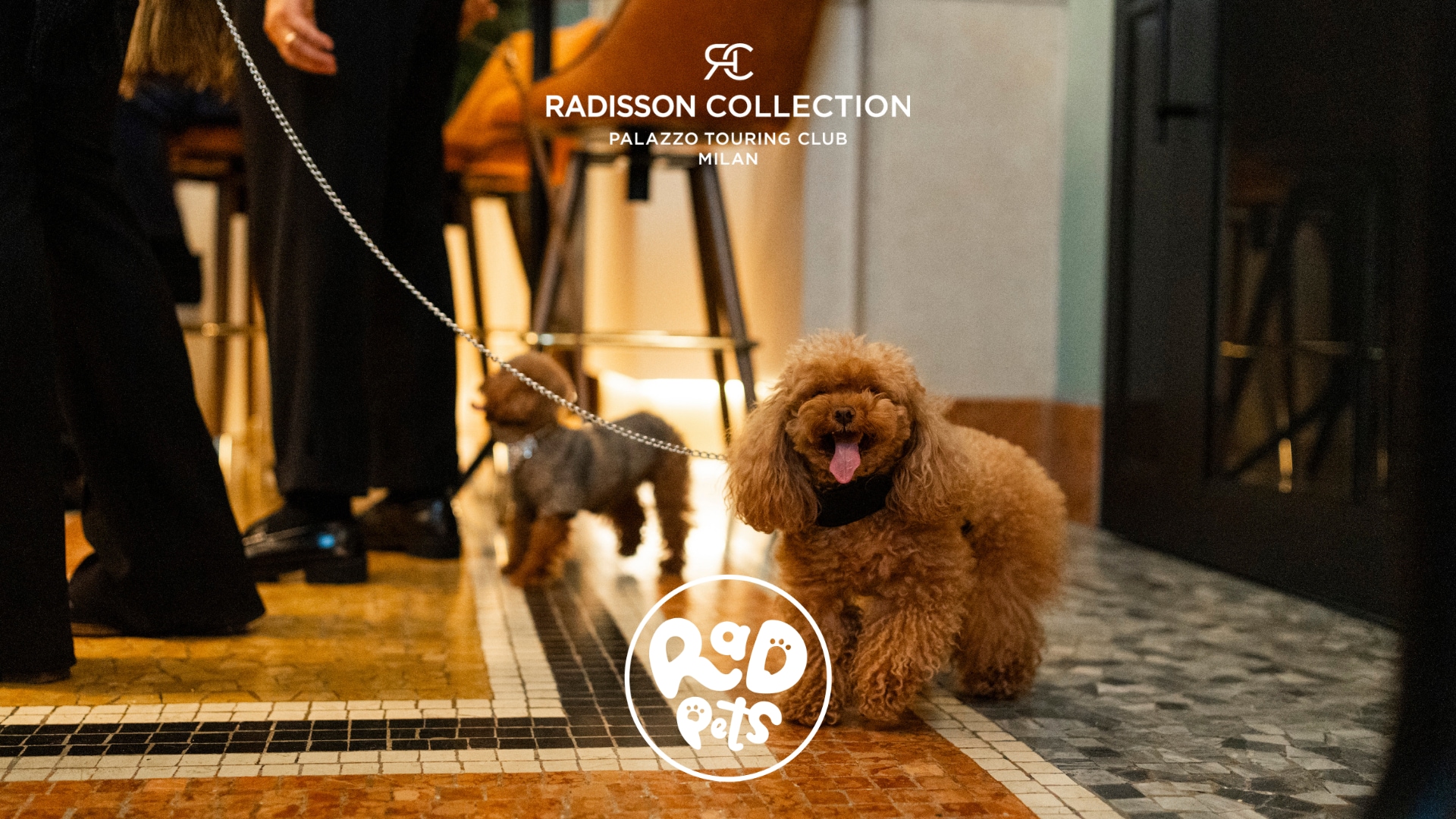 Radisson Collection Hotel, Palazzo Touring Club Milan - For Pets Only Event (1080)
