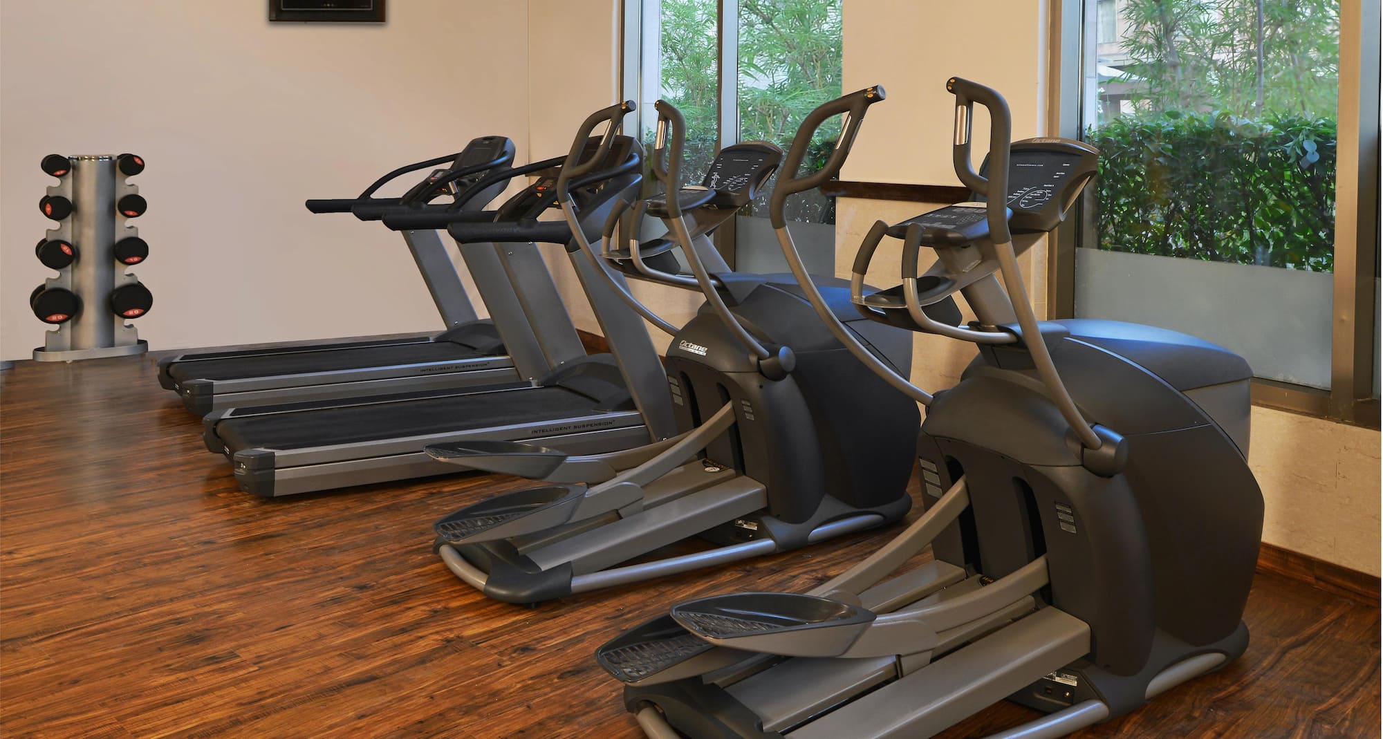 Park Inn by Radisson Amritsar Airport - Gym