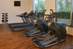 Park Inn by Radisson Amritsar Airport - Gym